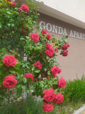 Gonda Apartments